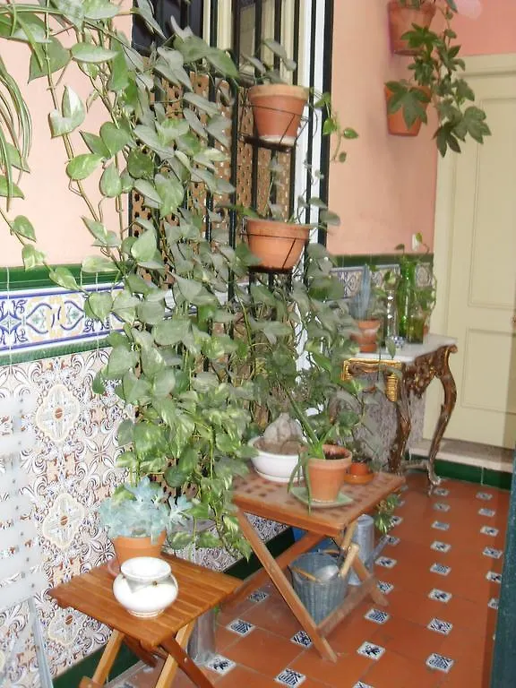 בית הארחה מאלגה El Riad Andaluz